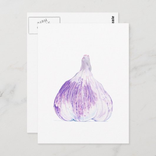 Lila Knoblauch Postkarte (Vorne/Hinten)