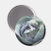 lila Kohl Magnet (Vorderseite/Rückseite)