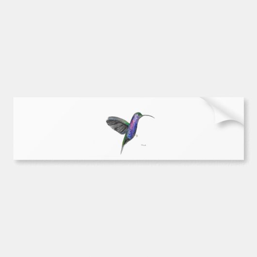 Lila Kolibri Autoaufkleber (Vorne)