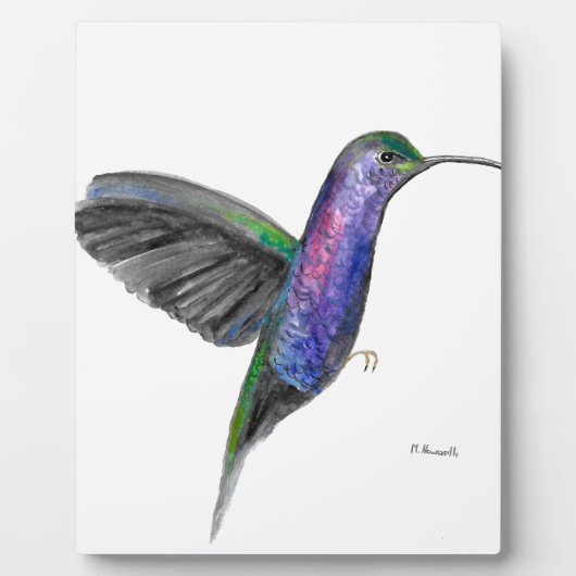 Lila Kolibri Fotoplatte (Vorderseite)