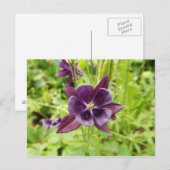 Lila Kolumne Postkarte (Vorne/Hinten)