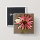 Lila Kone Blume Echinacea purpurea Button (Vorne & Hinten)