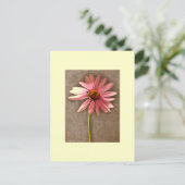 Lila Kone Blume Echinacea purpurea Postkarte (Stehend Vorderseite)