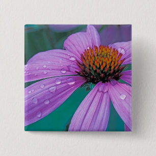 Lila Kone-Blume mit Wassertropfen Button