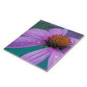 Lila Kone-Blume mit Wassertropfen Fliese (Seite)