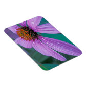 Lila Kone-Blume mit Wassertropfen Magnet (Rechte Seite)