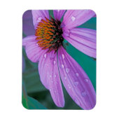 Lila Kone-Blume mit Wassertropfen Magnet (Vertikal)