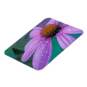 Lila Kone-Blume mit Wassertropfen Magnet (Linke Seite)