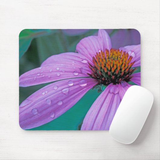 Lila Kone-Blume mit Wassertropfen Mousepad (Mit Mouse)