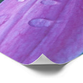 Lila Kone-Blume mit Wassertropfen Poster (Ecke)