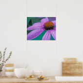 Lila Kone-Blume mit Wassertropfen Poster (Küche)
