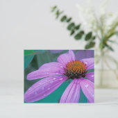 Lila Kone-Blume mit Wassertropfen Postkarte (Stehend Vorderseite)