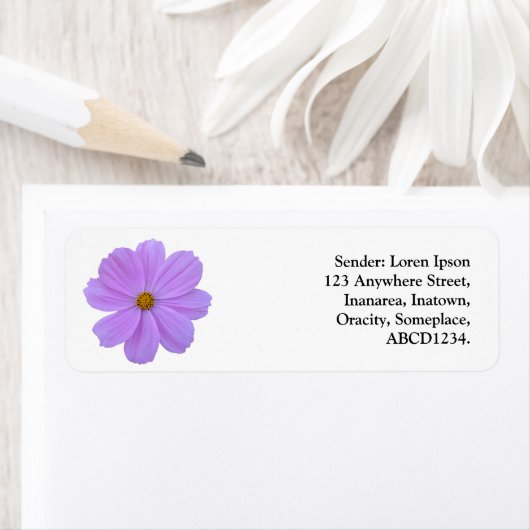 Lila Kosmos (Insitu)