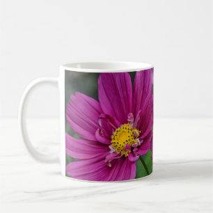 Lila Kosmos-Blume Kaffeetasse