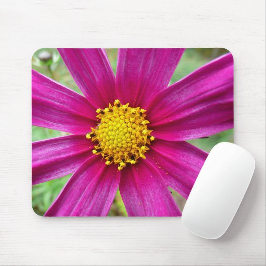 Lila Kosmos-Wildblume Mousepad (Mit Mouse)