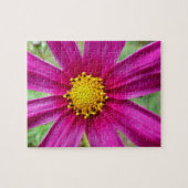 Lila Kosmos-Wildblume Puzzle (Horizontal)