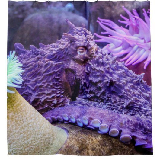 Lila Kraken-Duschvorhang Duschvorhang (Vorderseite)