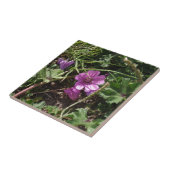 Lila Kranesbill Fliese (Seite)