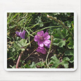 Lila Kranesbill Mousepad