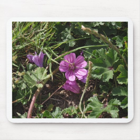Lila Kranesbill Mousepad (Vorne)