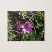 Lila Kranesbill Puzzle (Horizontal)