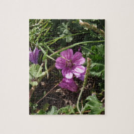Lila Kranesbill Puzzle