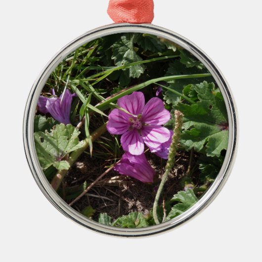 Lila Kranesbill Silbernes Ornament (Vorne)