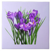 Lila Kreuze Fliese (Vorderseite)