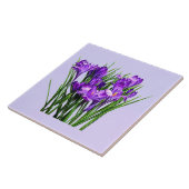 Lila Kreuze Fliese (Seite)