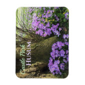 Lila Kreuze in Bloom, Husum, Deutschland Magnet (Vertikal)