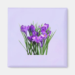 Lila Kreuze Magnet