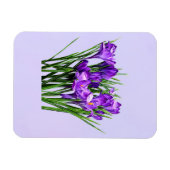 Lila Kreuze Magnet (Horizontal)