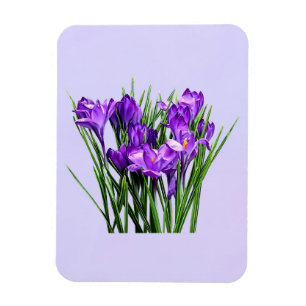 Lila Kreuze Magnet