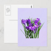 Lila Kreuze Postkarte (Vorne/Hinten)