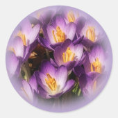 Lila Krokus-Aufkleber Runder Aufkleber (Vorderseite)