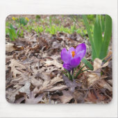 Lila Krokus in Blätter Mousepad (Vorne)