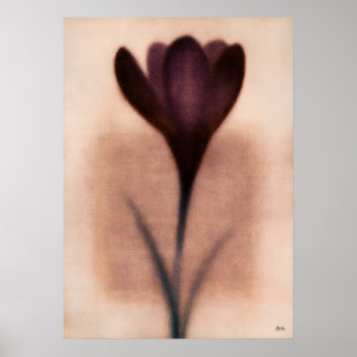 Lila Krokus Japanische Florale Abstraktion Poster
