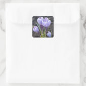 LILA KROKUS QUADRATISCHER AUFKLEBER (Tasche)