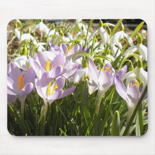 Lila Krokus- und Snowdrops Mousepad (Vorne)