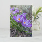 Lila Krokusblüte Einladung (Stehend Vorderseite)