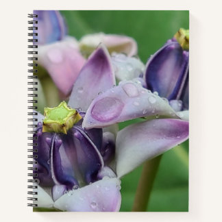 Lila Kronenblumen-Notizbuch Notizblock