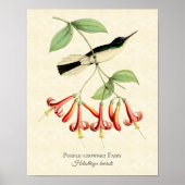 Lila Kronleuchte Hummingbird Art Print Poster (Vorne)