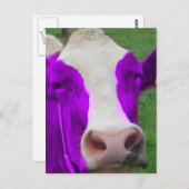 lila Kuh Postkarte (Vorne/Hinten)