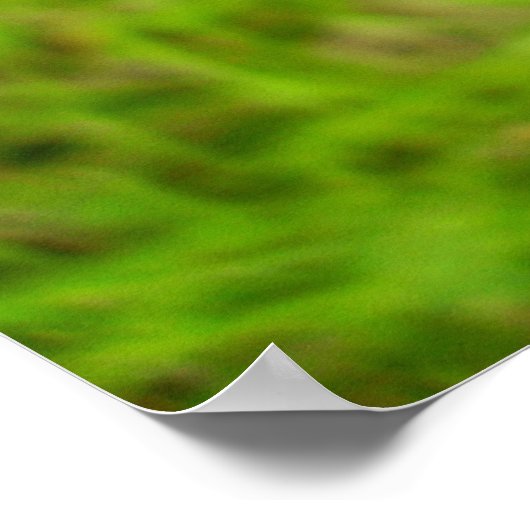 Lila Kupfer-Schmetterlingposter Poster (Ecke)