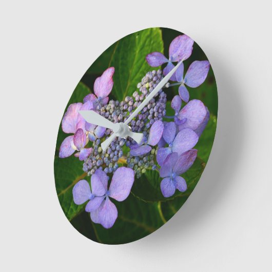 Lila Lacecap Hydrangea Runde Wanduhr (Winkel)