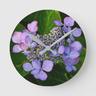 Lila Lacecap Hydrangea Runde Wanduhr