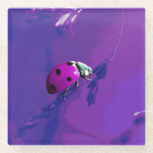 Lila Ladybug Glasuntersetzer
