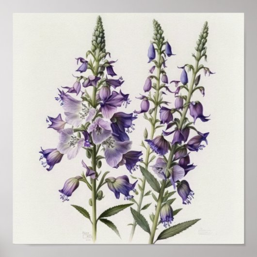 Lila Larkspur Blume Art Print Poster (Vorne)