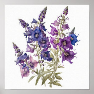 Lila Larkspur Blume Art Print Poster