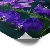 Lila Larkspur Blume Art Print Poster (Ecke)
